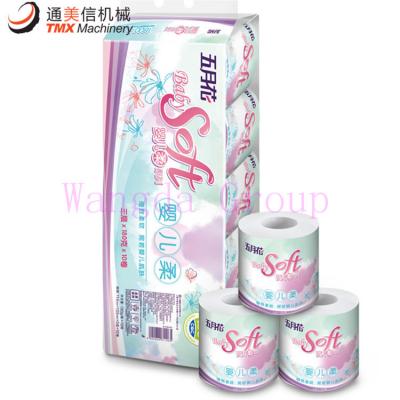 Fully Automatic Toilet Paper Multiple Rolls Packing Machine